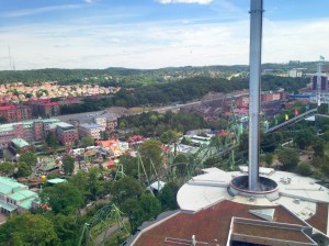 View of the park from the ferris wheel